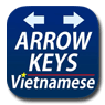 Arrow Keys Vietnamese Mail Keyboard